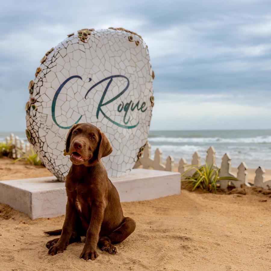 C Roque Beach Resort Colva Zewnętrze zdjęcie
